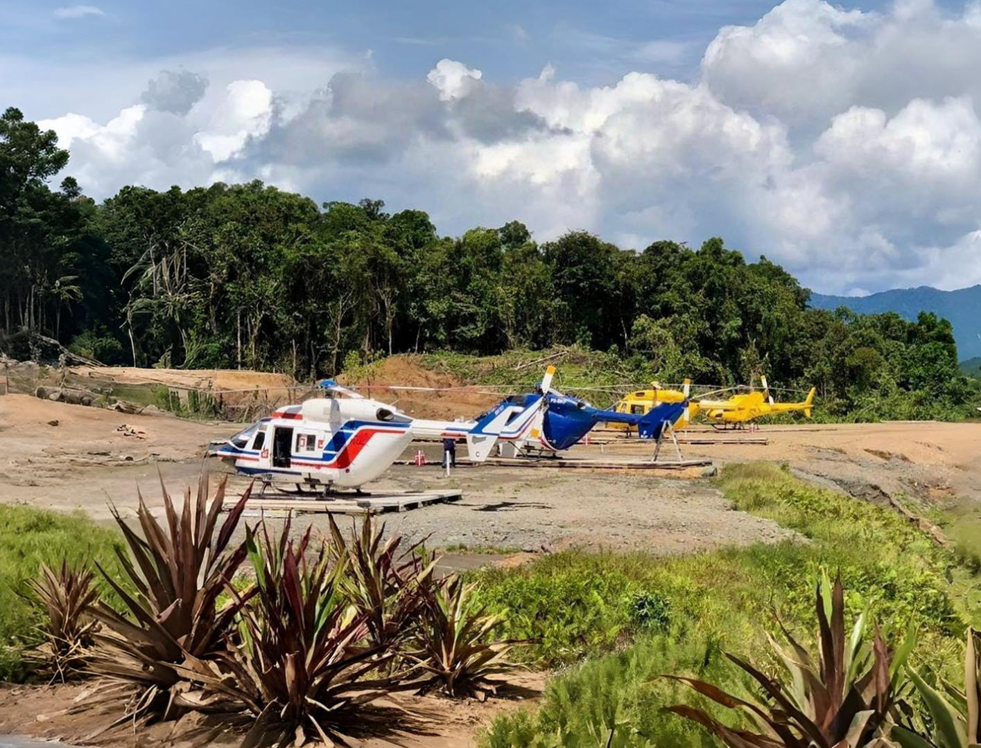 a line of helicopters
